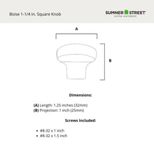 Boise 1-1/4" Square Knob